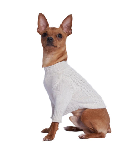 A dog wearing a white cashmere sweater. 