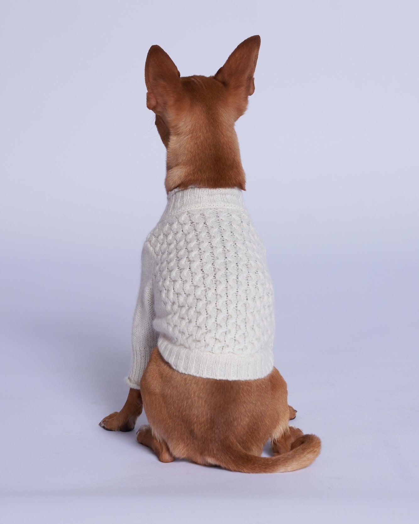 L'amore Mio Cashmere Dog Jumper