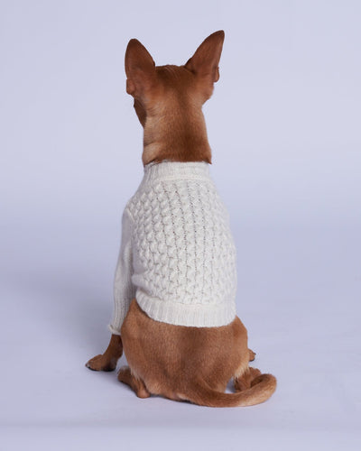 L'amore Mio Cashmere Dog Jumper