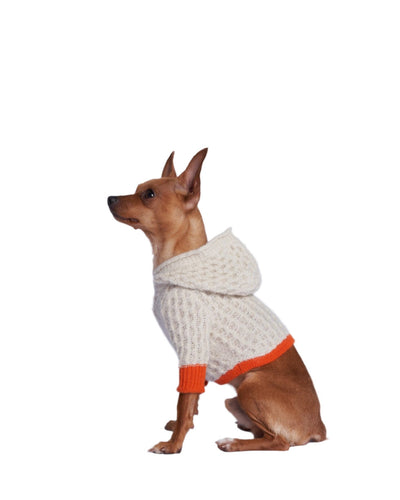 A dog wearing a beige cashmere hoodie with an orange wrist band. 