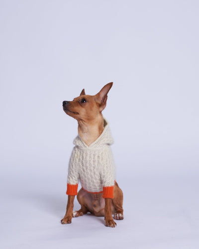 L'amore Mio Cashmere Dog Hoodie