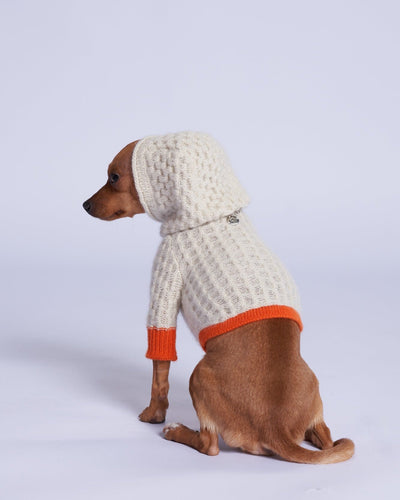 L'amore Mio Cashmere Dog Hoodie