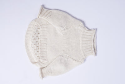 L'amore Mio Cashmere Dog Jumper