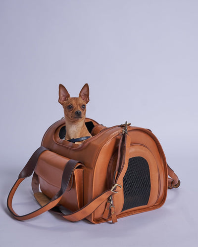 Leather Nest Dog Bag