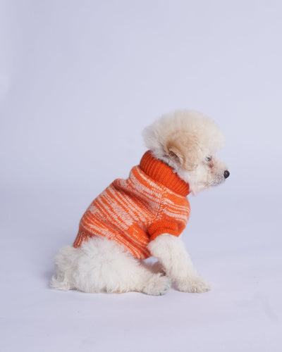 Cashmere Dog Vest