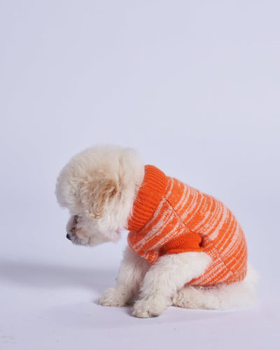 Cashmere Dog Vest