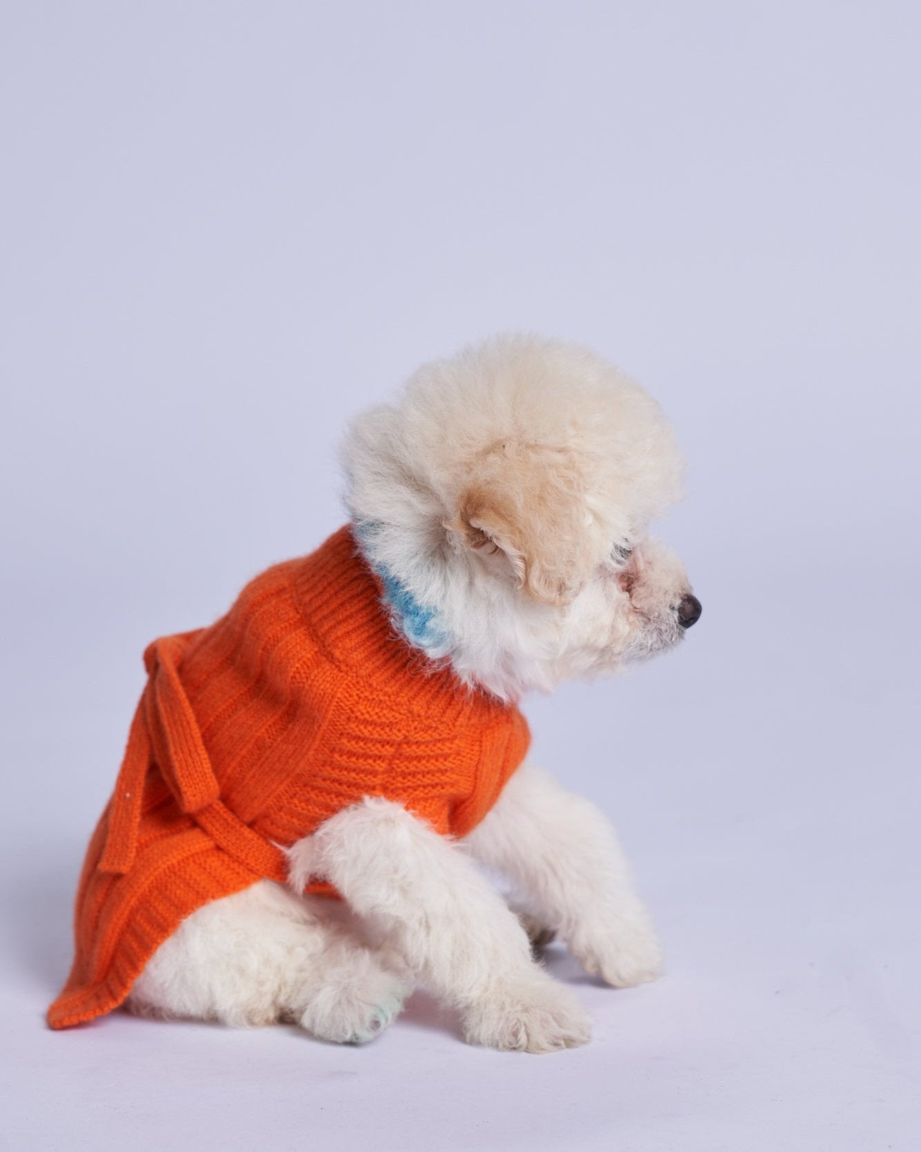 L'amore Mio Cashmere Dog Cardigan
