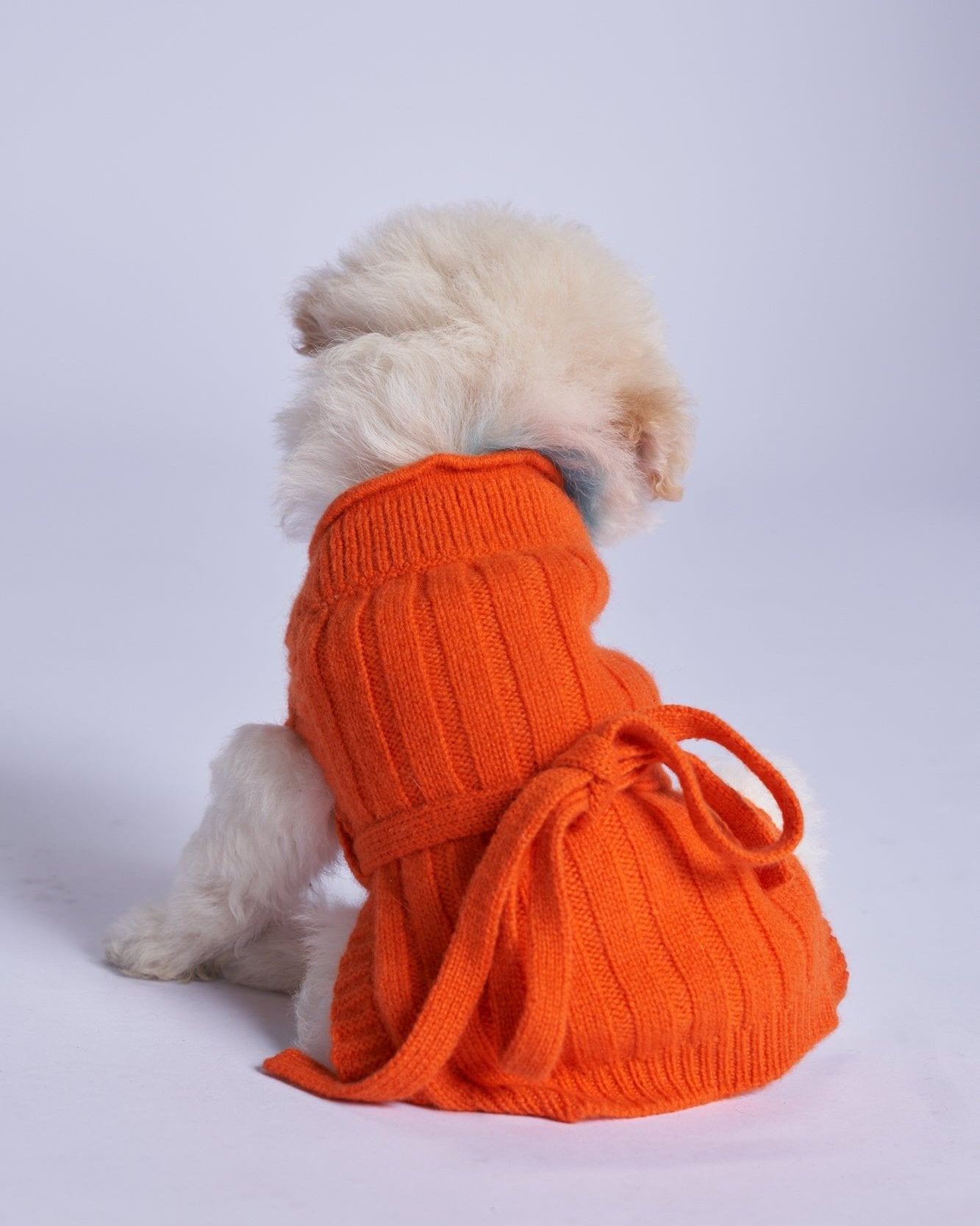 L'amore Mio Cashmere Dog Cardigan