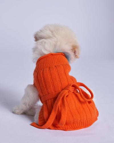 L'amore Mio Cashmere Dog Cardigan