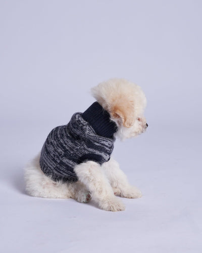 L'amore Mio Cashmere Dog Vest, Black