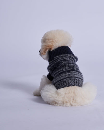 L'amore Mio Cashmere Dog Vest, Black