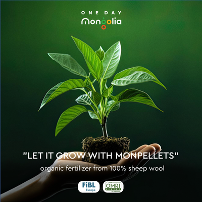Monpellets Organic Fertilizer from Sheep Wool